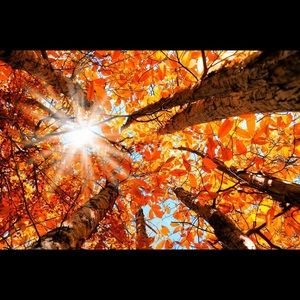 Meet your Posher, Venessa